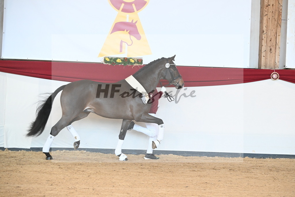 Kat.-Nr. 71 v. Va Bene_Müller_2242639 | hf-fotografie - Realizzato con Pictrs.com