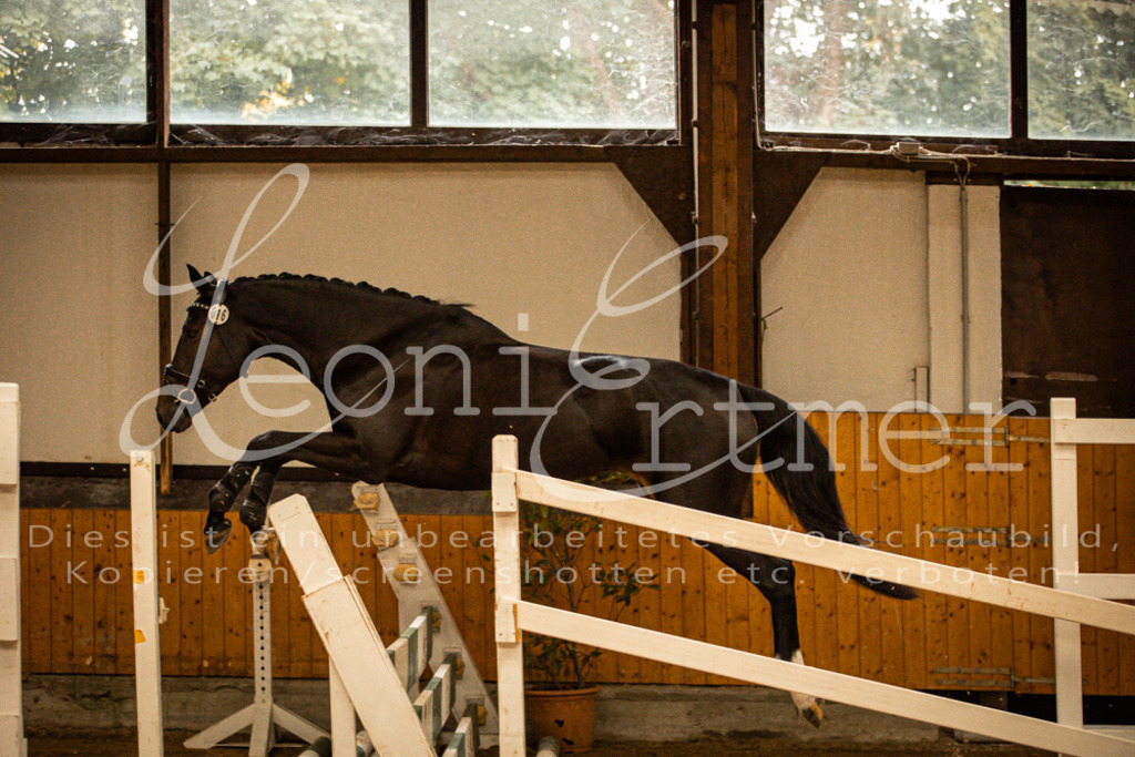 2FS_L00043 | Leoni Ertmer Photography - Realisiert mit Pictrs.com