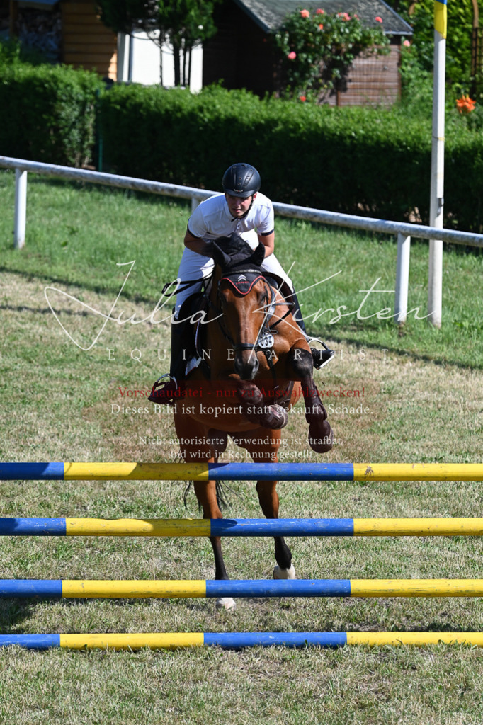 DSC_1913 | Pferde- und Turnierfotografie in Westsachsen. Pferdeportraits, Auftragszeichnungen und intuitive Kunst.