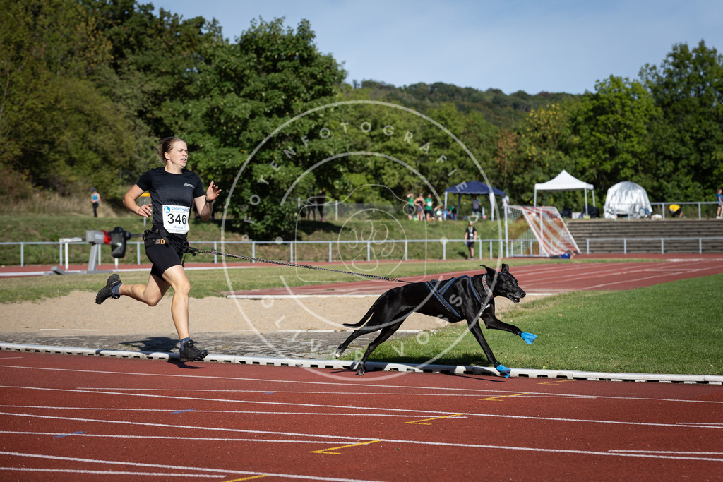 Pfotenfotografie_DV3A9037 | Hundefotografie, Tierfotograf, Pfotenfotografie, Fotoshooting Hund, Hunde Portrait, Hundesport, Hundeportraits, Heideshooting, Hunde, Sportfotograf, Hundefotograf, Turnierhundsport, THS,  - Realisiert mit Pictrs.com