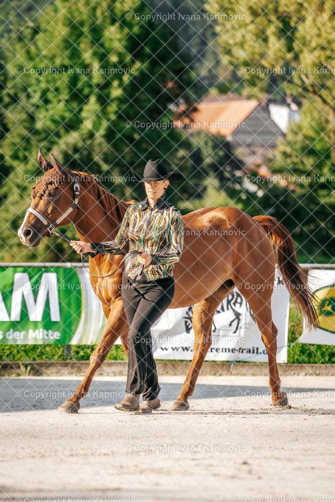 DSC05137 | ikphotography - Realisiert mit Pictrs.com