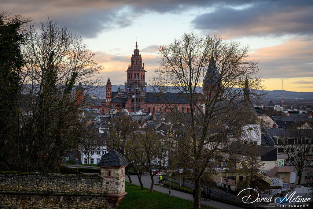 Der Hohe Dom St. Martin zu Mainz | Der Hohe Dom St. Martin zu Mainz