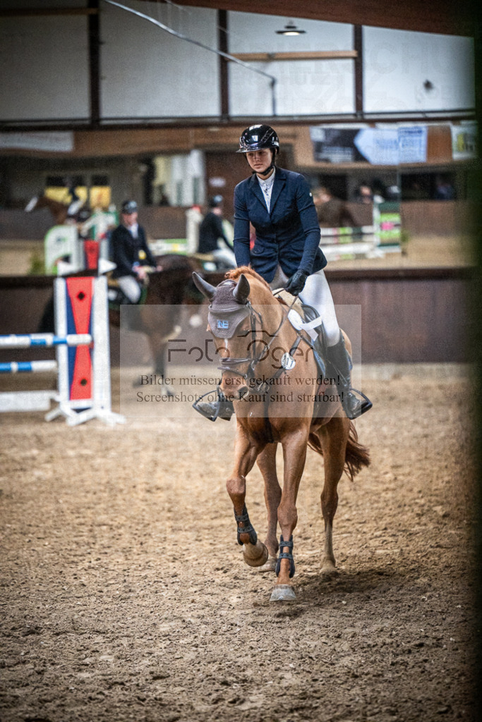DOS_0077 | Entdecke hochwertige Reitturnierfotos von Foto Oger. Professionell, emotional und authentisch – jetzt Lieblingsmomente im Shop bestellen.Deutschlandweite Turnierfotografie. - Realisiert mit Pictrs.com