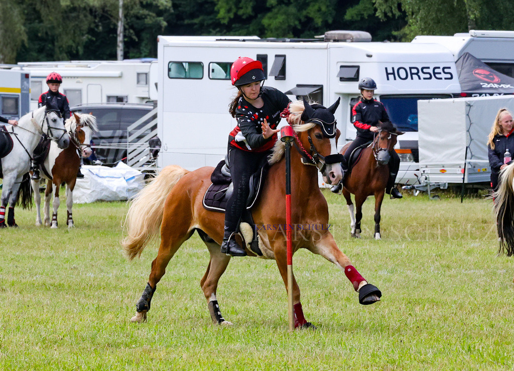 1B3A2039 | Reitsport Reiten