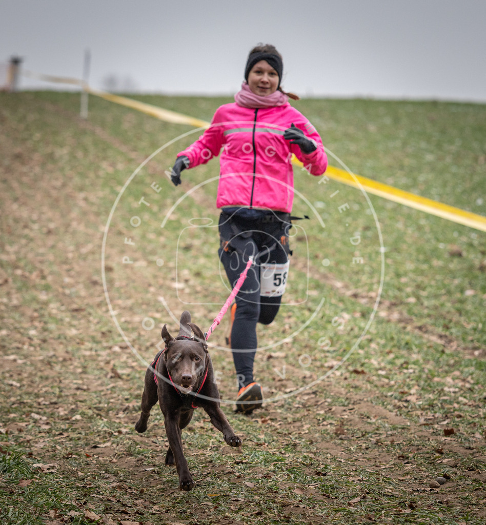 Pfotenfotografie_DV3A1845 | Hundefotografie, Tierfotograf, Pfotenfotografie, Fotoshooting Hund, Hunde Portrait, Hundesport, Hundeportraits, Heideshooting, Hunde, Sportfotograf, Hundefotograf, Turnierhundsport, THS,  - Realisiert mit Pictrs.com