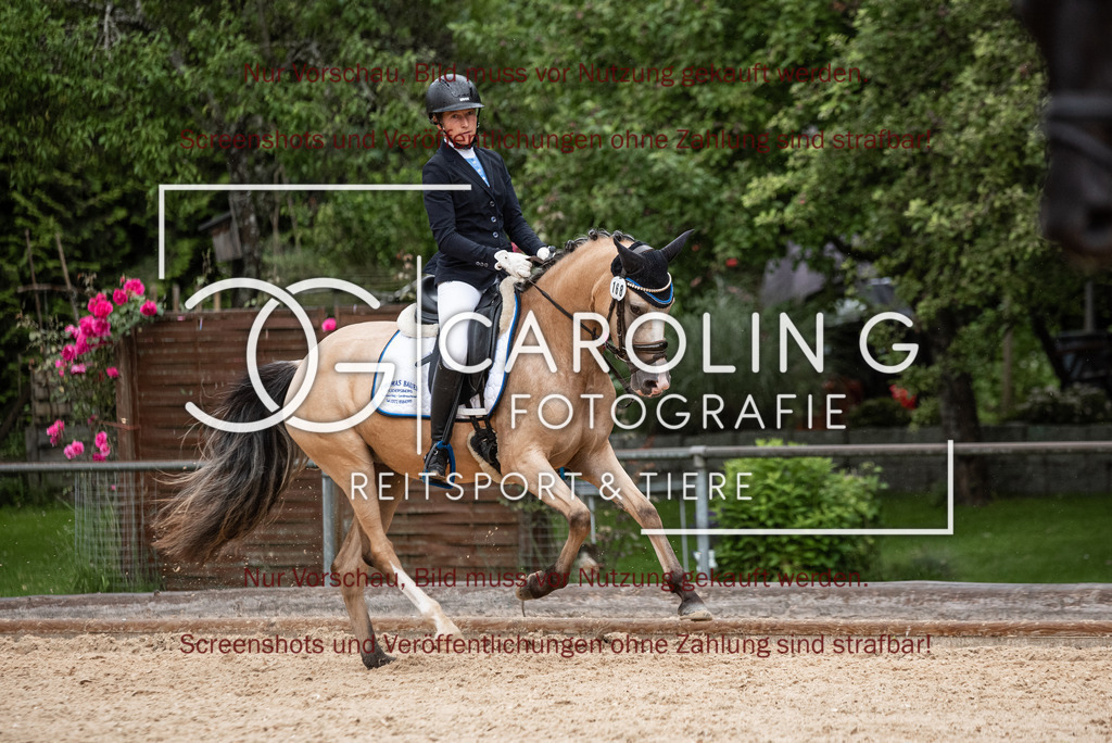 DSC_3226 | Turnierfotografin Carolin Gieschke,Reitsport Turnierfotografie Carolin G Fotografie | Turnierfotos aus Kirchheim/Teck, Esslingen, Stuttgart und dem Bodenseekreis