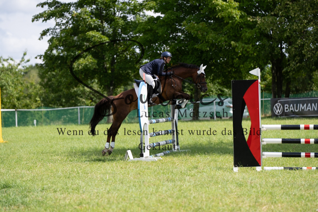 A7V04438 | Pferdefotograf