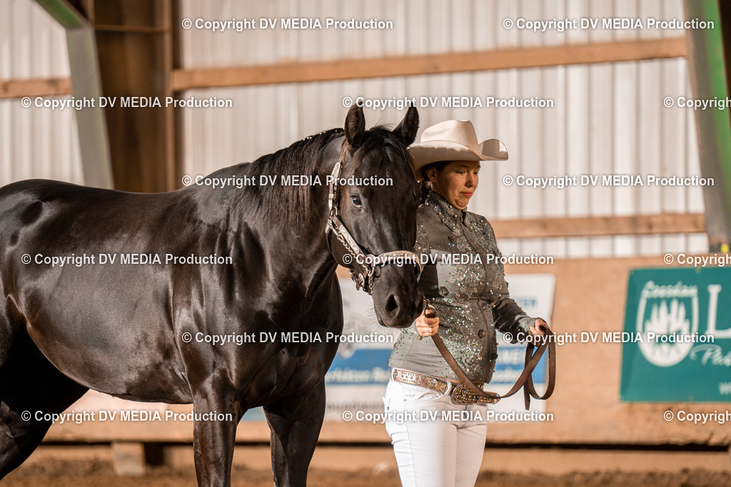 BAL01347 | dv-media-shop - Realisiert mit Pictrs.com