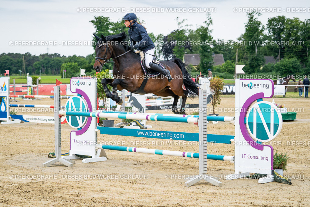 DSC05415 | Pferdegrafie