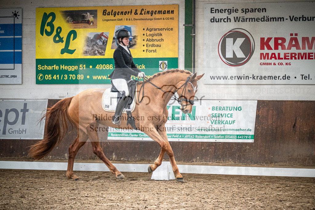 DOS_0110 | Entdecke hochwertige Reitturnierfotos von Foto Oger. Professionell, emotional und authentisch – jetzt Lieblingsmomente im Shop bestellen.Deutschlandweite Turnierfotografie. - Realisiert mit Pictrs.com