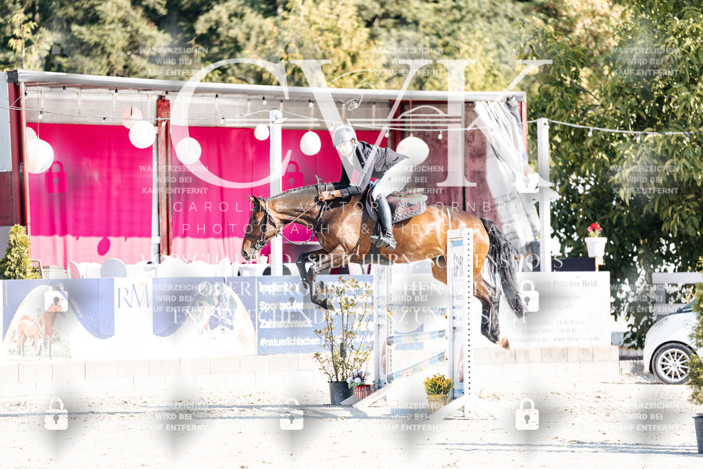 CK902049 | Turnierfotografie Pferdefotografie Trier Rheinland-Pfalz Pferdesport Reitsport Tierfotografie Sportfotografie Pferdevideo Pferdevideografie Equestrianvideography equestrianphotography  - Realisiert mit Pictrs.com