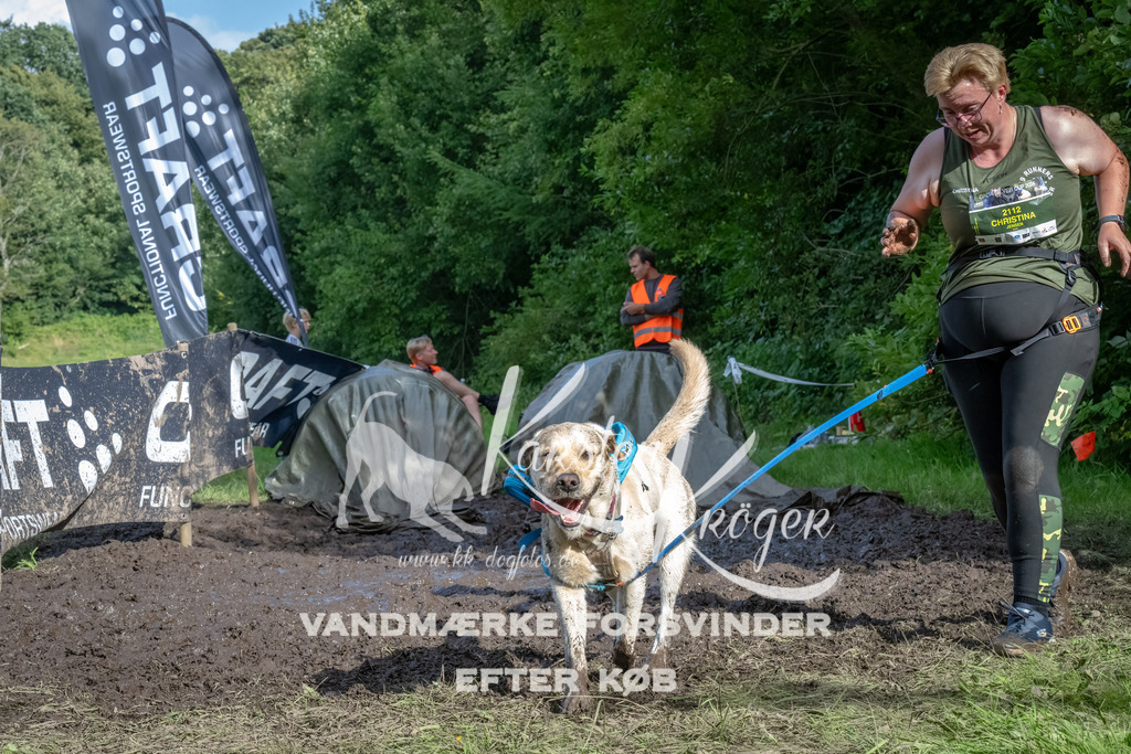 1701_ZZ90822-Bearbeitet | kk-dogfotos