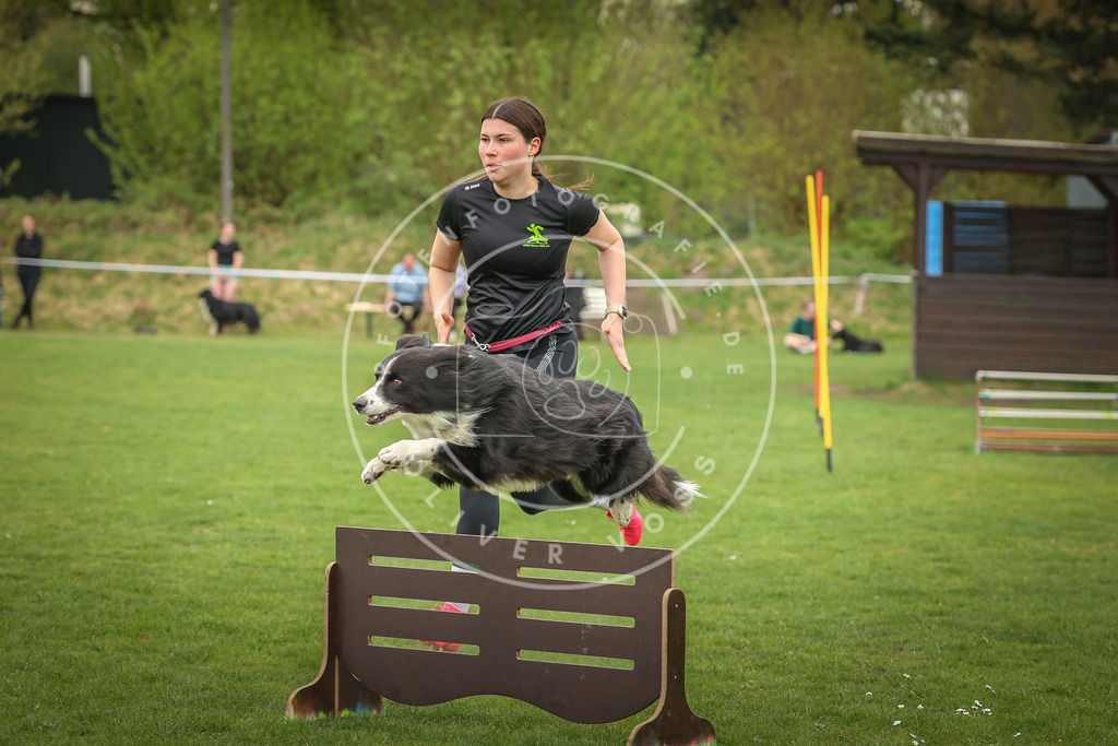 Pfotenfotografie_0L8A0828 | Hundefotografie, Tierfotograf, Pfotenfotografie, Fotoshooting Hund, Hunde Portrait, Hundesport, Hundeportraits, Heideshooting, Hunde, Sportfotograf, Hundefotograf, Turnierhundsport, THS,  - Realisiert mit Pictrs.com