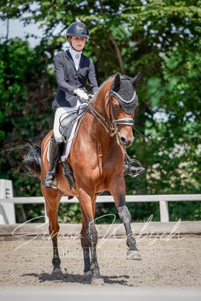 20250621-_3LI8080 | Tierfotografie Pferde, Hunde, Katzen, Haustiere.
Turnierfotografie Reitturniere, Reiten, Springreiten, Dressur in Hanau, dem Main-Kinzig-Kreis und dem Rhein-Main- Gebiet um Frankfurt