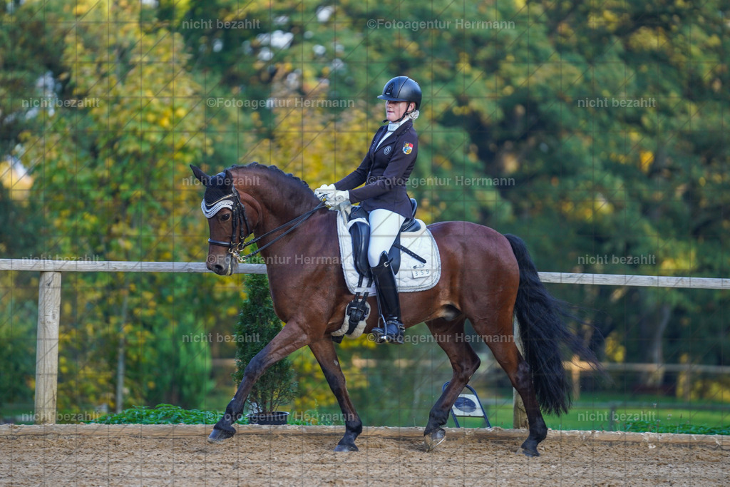 20221007-FAH00462 | Diessen am Ammersee, 2022, Dressur- und Springturnier, Reitsportbilder, Turnierfotografen Bayern, Pferdefotografen, Fotoagentur Herrmann, Turnierbilder