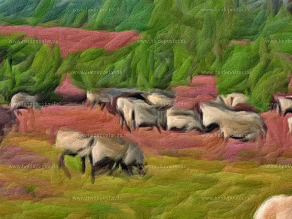 brushed_08-DSCN6482-b | Poster aus der Lüneburger Heide - Realisiert mit Pictrs.com