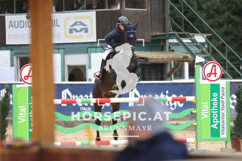 0P6A4081 | Willkommen bei Brunnmayr - Design & Fotografie – Ihrem Spezialisten für Reitturniere und Pferdeveranstaltungen in Oberösterreich, Salzburg und Bayern! Seit über 17 Jahren sind wir leidenschaftlich dabei.