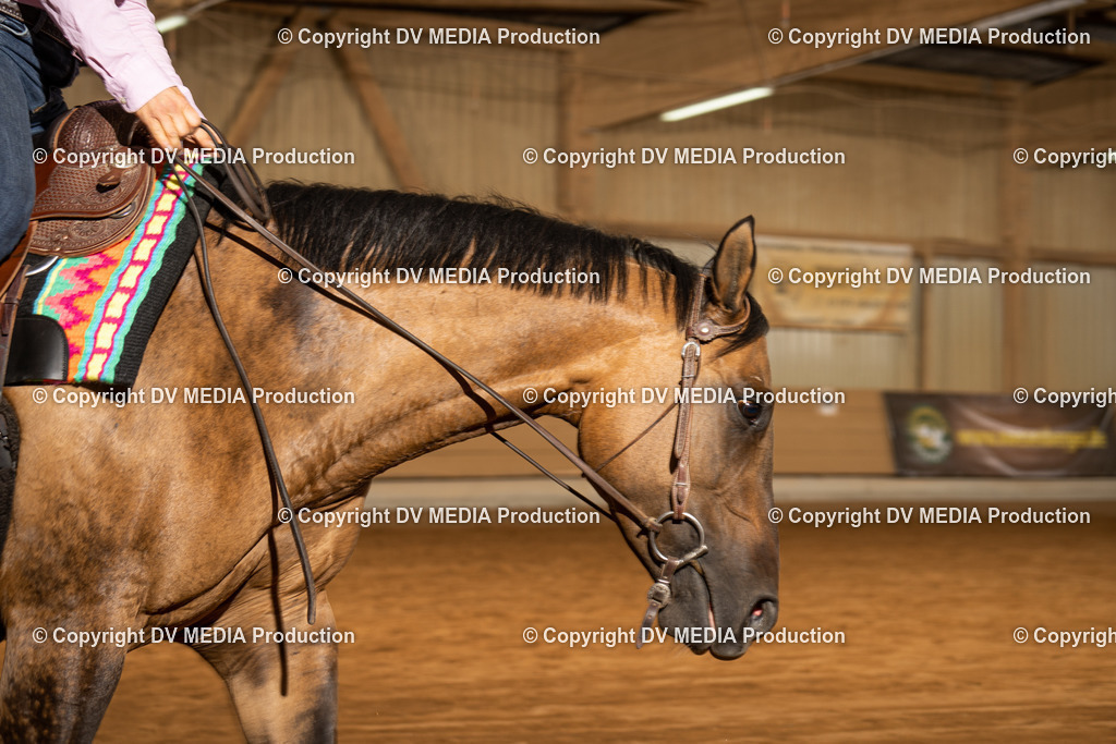 NID01594 | dv-media-shop - Realisiert mit Pictrs.com