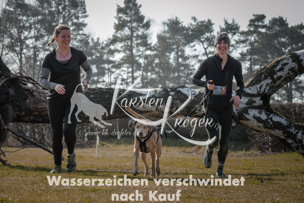 1106_ZZ94661 | kk-dogfotos