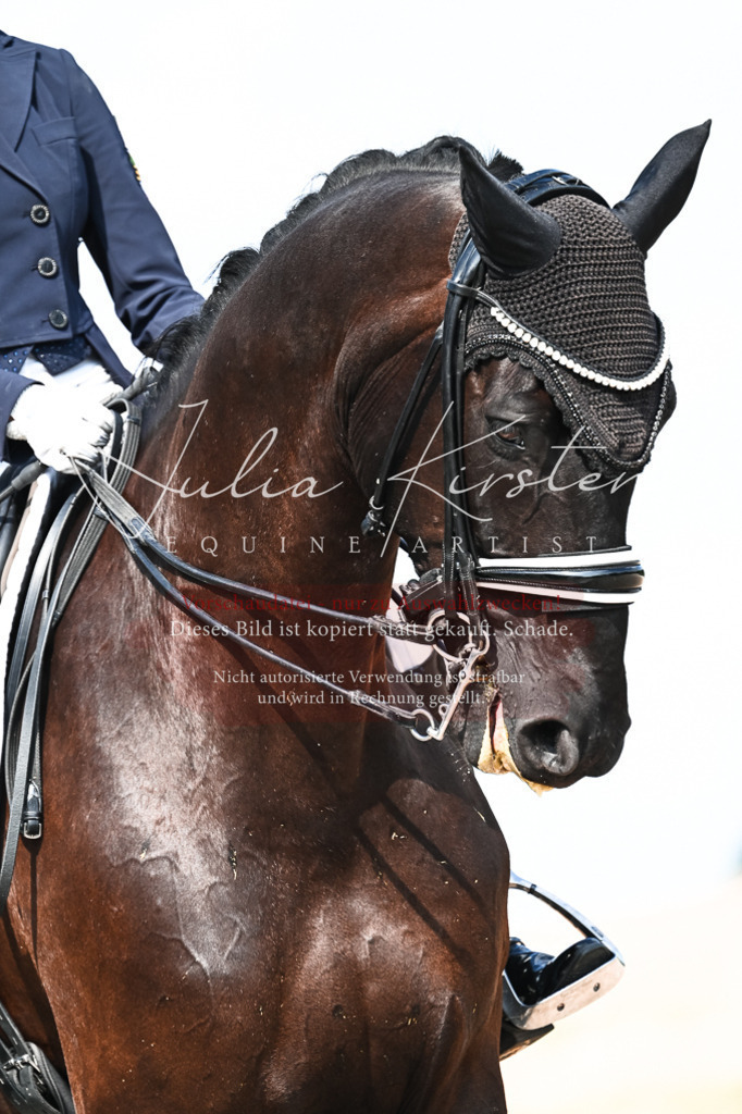 DSC_3144 | Pferde- und Turnierfotografie in Westsachsen. Pferdeportraits, Auftragszeichnungen und intuitive Kunst.