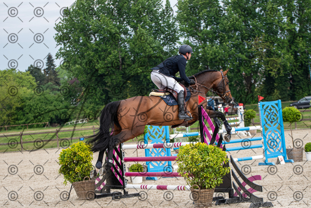 KPT_3179 | andre_photographic