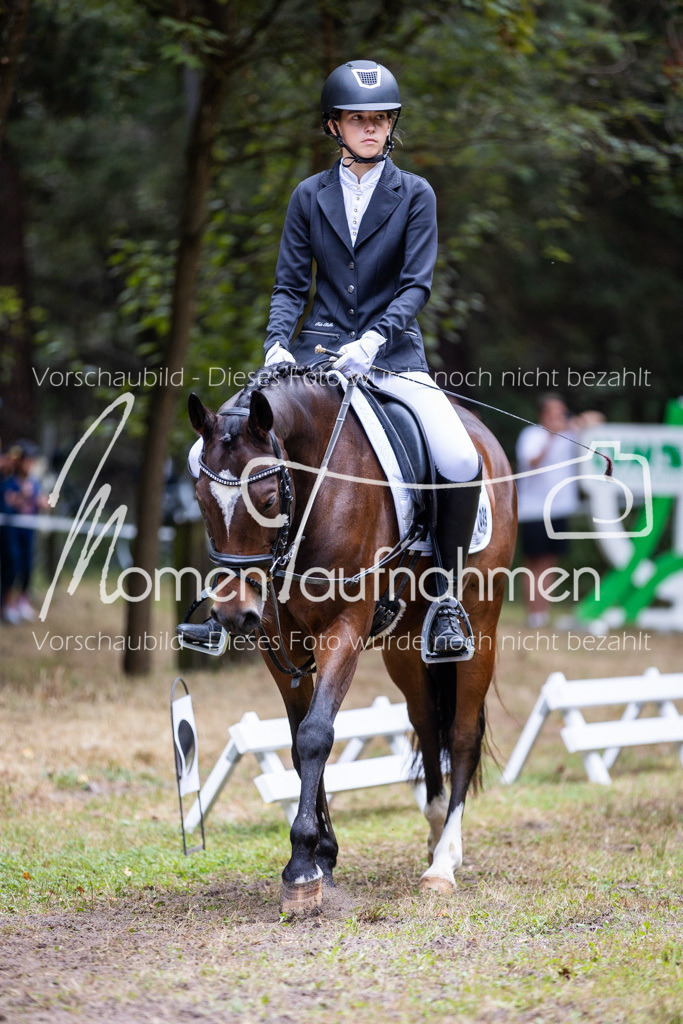 HB-Reiter-WB-033 | MomenTaufnahmen Pferdesportfotos