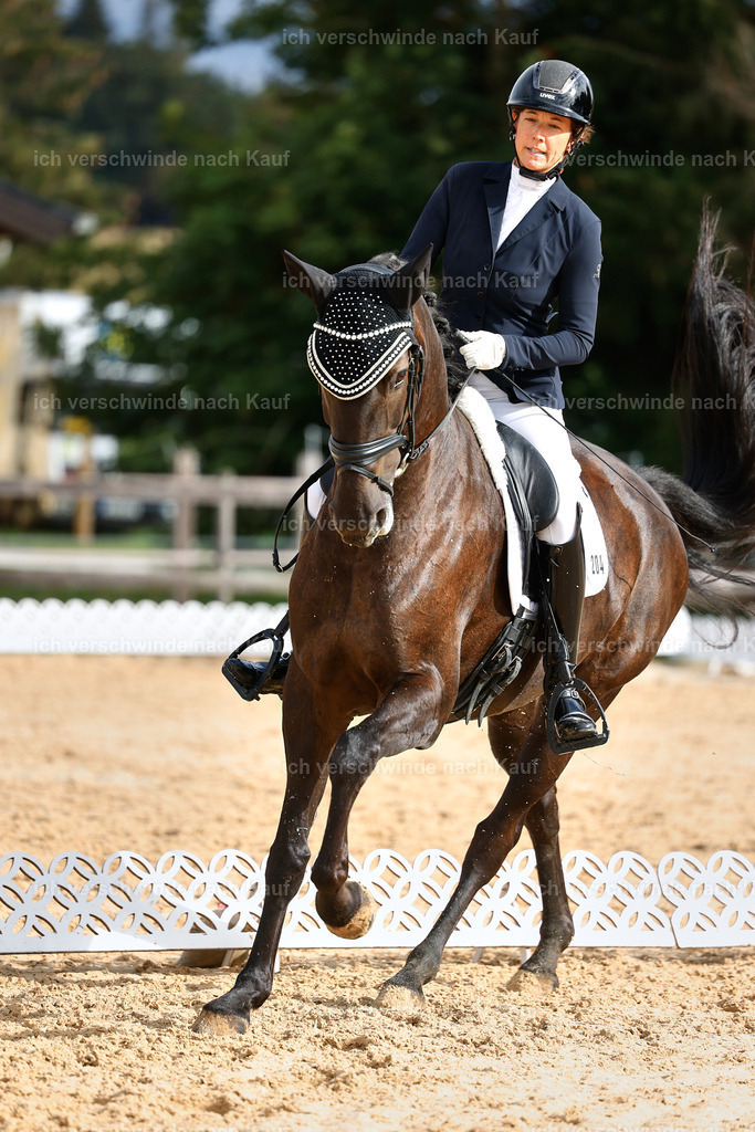 02-204-DRESSUR L_  -StoibPH-4796 | working equitationturnier fotograf videograf stoibphotography marixx film working equitation deutschland reitsport turnierfotografie eventfotografie equestrian events