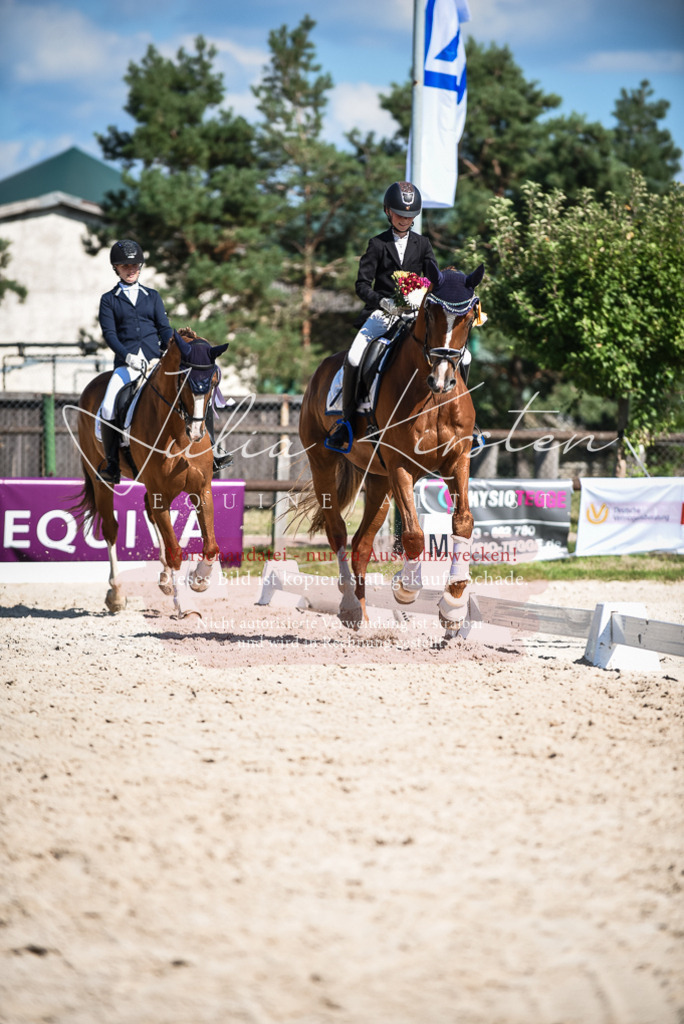 DSC_9748 | Pferde- und Turnierfotografie in Westsachsen. Pferdeportraits, Auftragszeichnungen und intuitive Kunst.