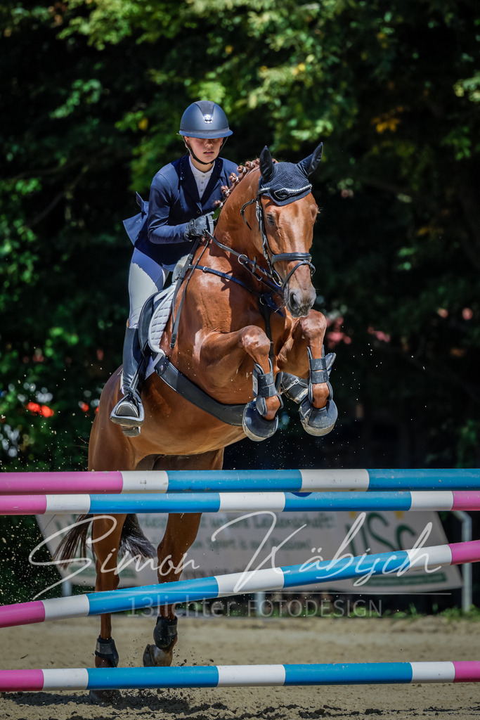20250906-_3LI4265 | Tierfotografie Pferde, Hunde, Katzen, Haustiere.
Turnierfotografie Reitturniere, Reiten, Springreiten, Dressur in Hanau, dem Main-Kinzig-Kreis und dem Rhein-Main- Gebiet um Frankfurt