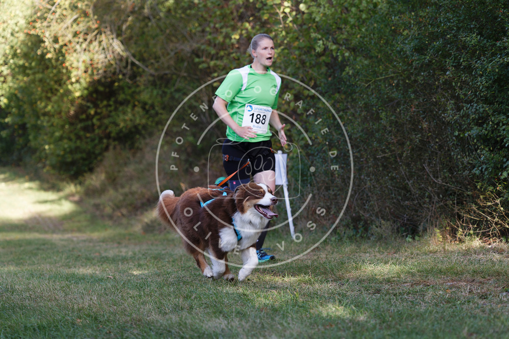 0L8A5768 | Hundefotografie, Tierfotograf, Pfotenfotografie, Fotoshooting Hund, Hunde Portrait, Hundesport, Hundeportraits, Heideshooting, Hunde, Sportfotograf, Hundefotograf, Turnierhundsport, THS,  - Realisiert mit Pictrs.com