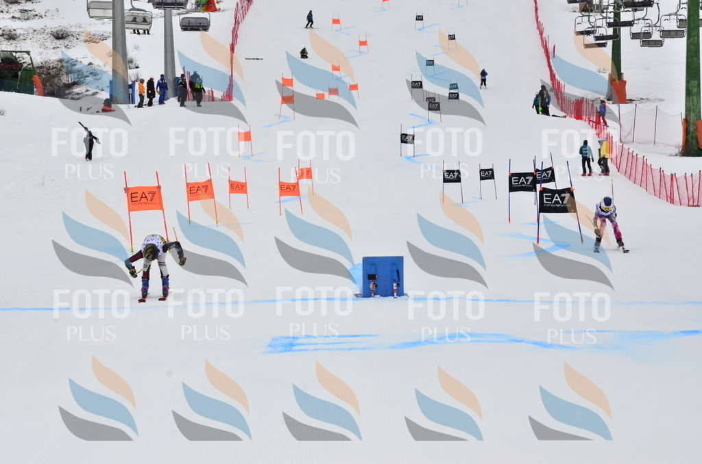 _ELE3735 | holidayphoto