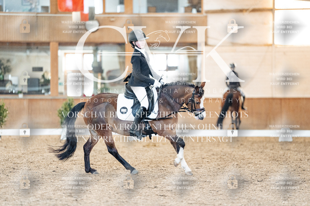 CK907521 | Turnierfotografie Pferdefotografie Trier Rheinland-Pfalz Pferdesport Reitsport Tierfotografie Sportfotografie Pferdevideo Pferdevideografie Equestrianvideography equestrianphotography  - Realisiert mit Pictrs.com