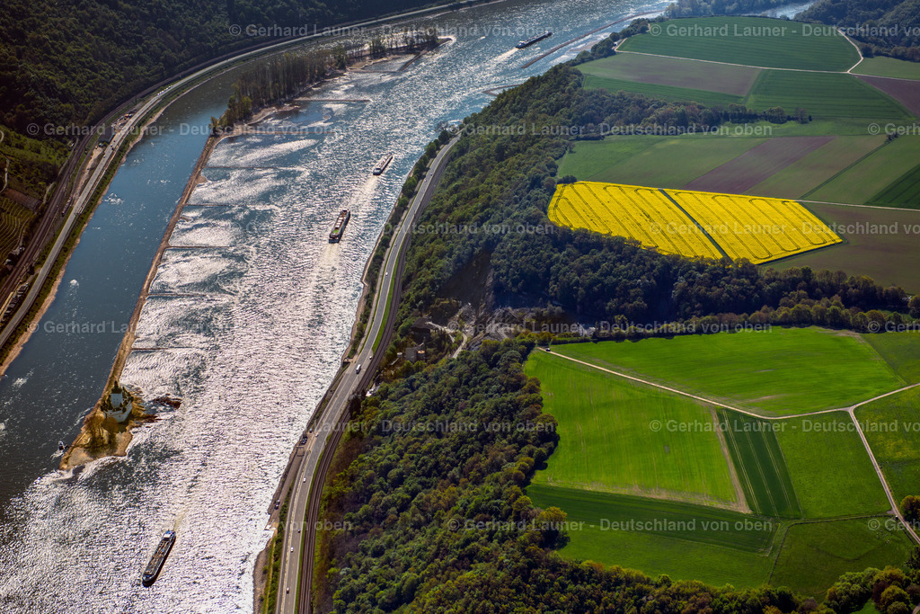 3490572 | Rhein bei Kaub