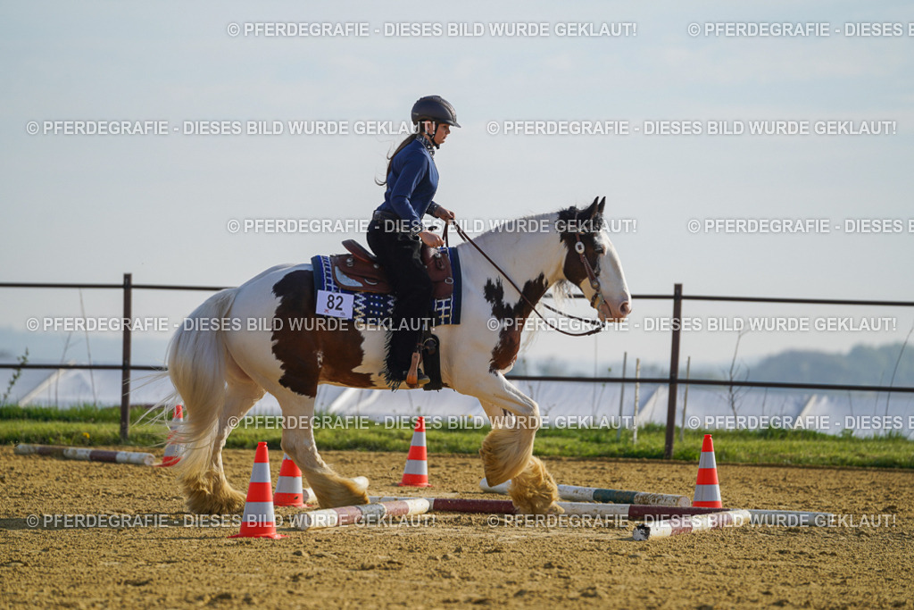 DSC00900 | Pferdegrafie