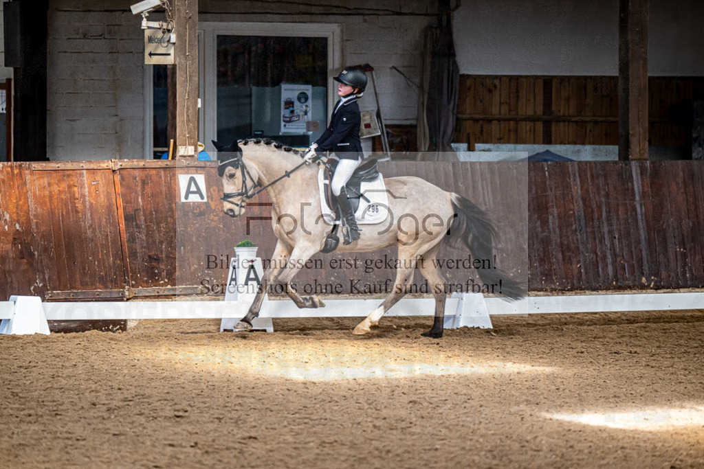 20240310-DOS_1026 | Entdecke hochwertige Reitturnierfotos von Foto Oger. Professionell, emotional und authentisch – jetzt Lieblingsmomente im Shop bestellen.Deutschlandweite Turnierfotografie. - Realisiert mit Pictrs.com