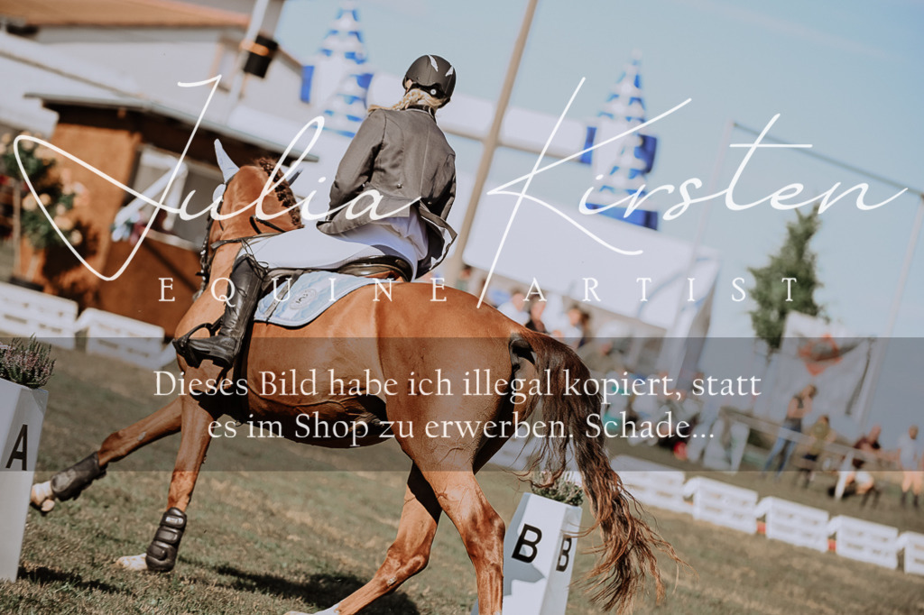 DSC_9307 | Pferde- und Turnierfotografie in Westsachsen. Pferdeportraits, Auftragszeichnungen und intuitive Kunst.
