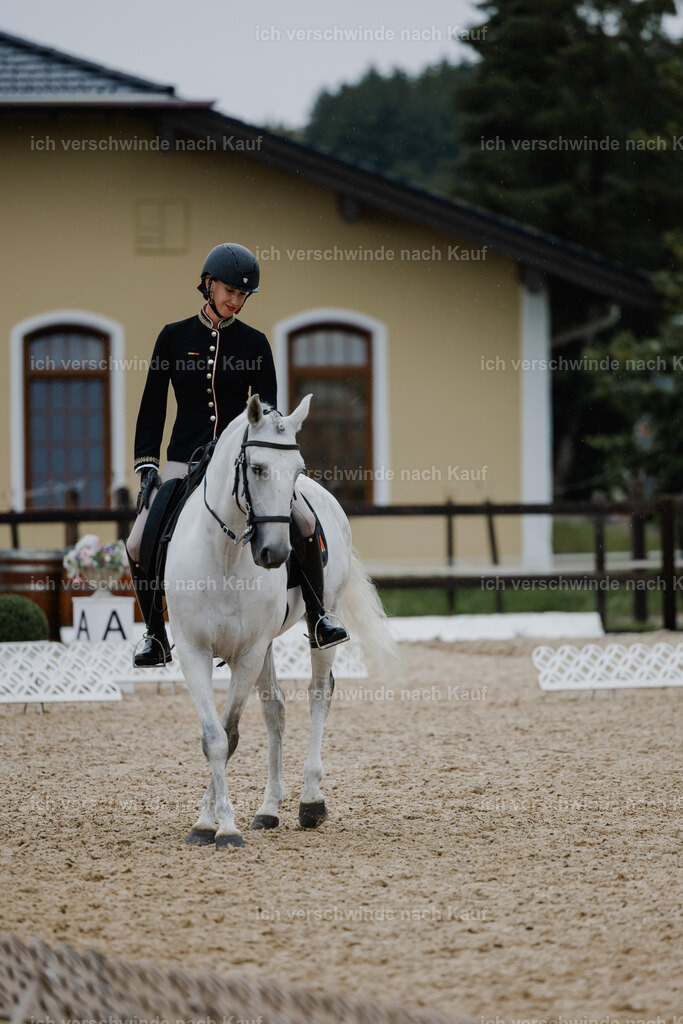 Virginie12FHC2025-25158 | working equitationturnier fotograf videograf stoibphotography marixx film working equitation deutschland reitsport turnierfotografie eventfotografie equestrian events
