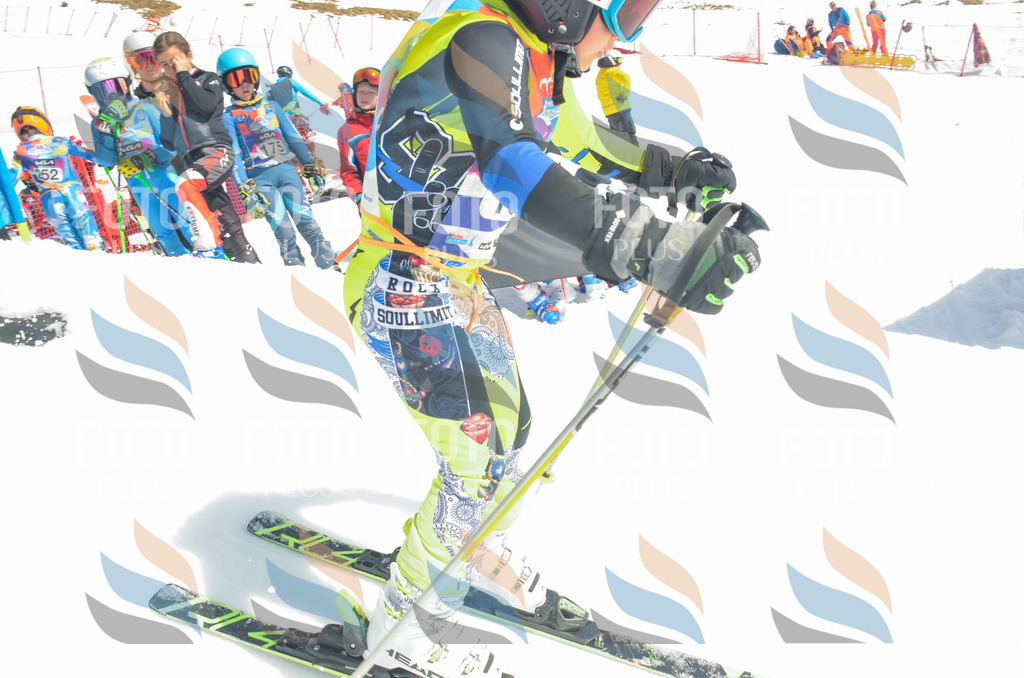 _ELE6381 | holidayphoto