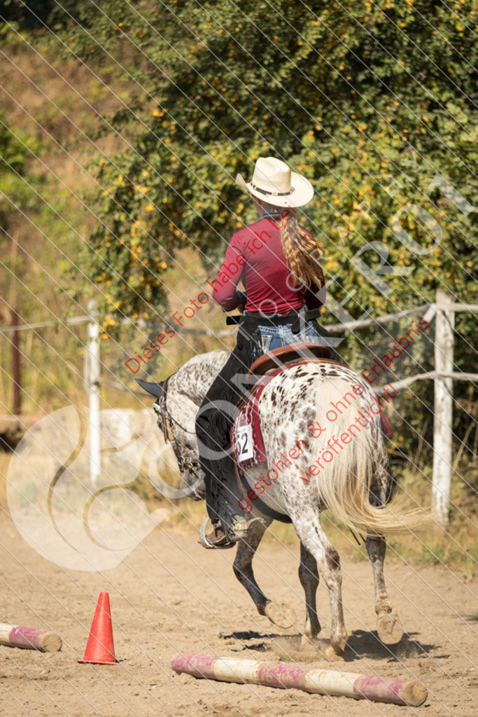 IMG_7387 | Sport-, Event- und Tierfotos in Profiqualität. Einfach auswählen, bestellen und herunterladen. Dein Moment – perfekt festgehalten.