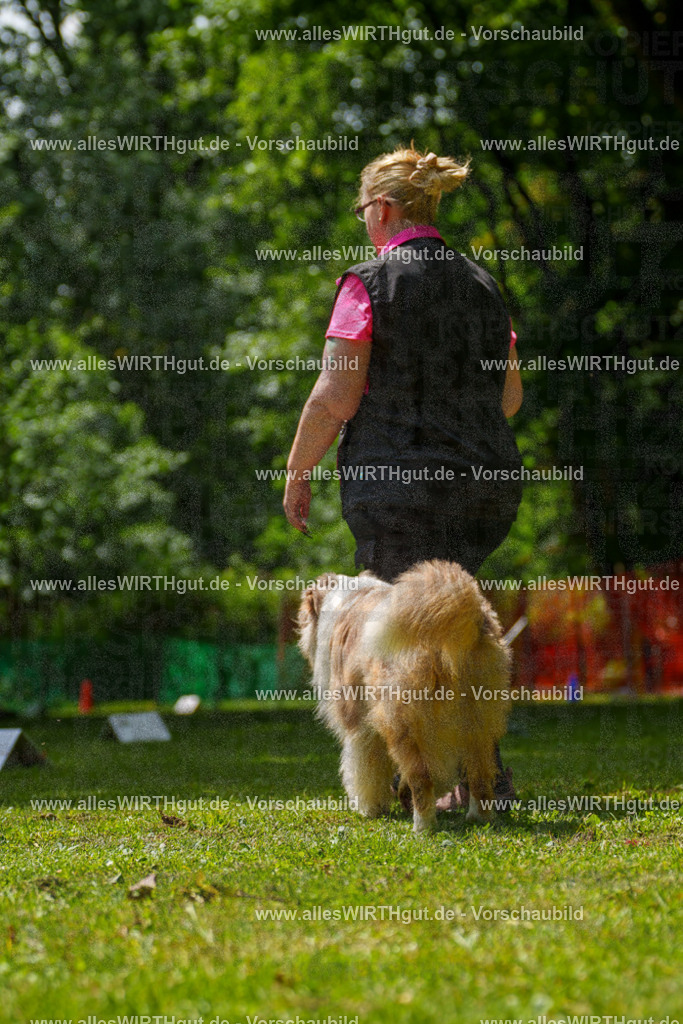 @allesWIRTHgut_Tierfotografie - www.allesWIRTHgut.de - 7R505036 | Professionelle Tierfotografie in Mönchengladbach von Daniel Wirth (allesWIRTHgut). Liebevolle & natürliche Bilder von Hunden & Katzen für unvergessliche Erinnerungen.