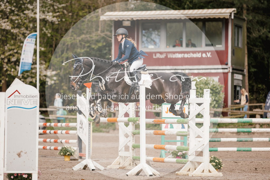3I6A4269 | Stimmungsvolle Portraits und Reitsportfotografie im Ruhrgebiet und im Münsterland.

Pferdefotografie, Hundefotografie, Tierfotografie, Reportagen, Portraits von Tier und Mensch, Turnierfotografie in Bochum, Recklinghausen, Marl, Haltern am See, Dülmen.. - Realisiert mit Pictrs.com