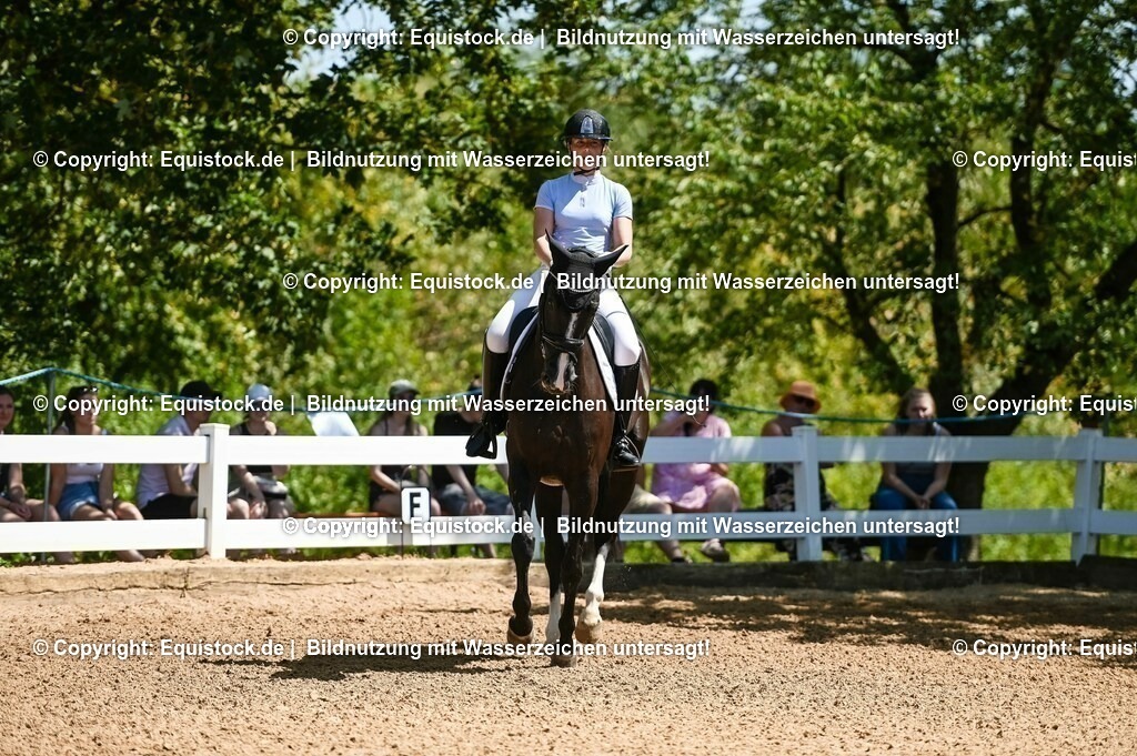 20230715_02_Dressurreiterprüfung Kl.L_0035 | equistock