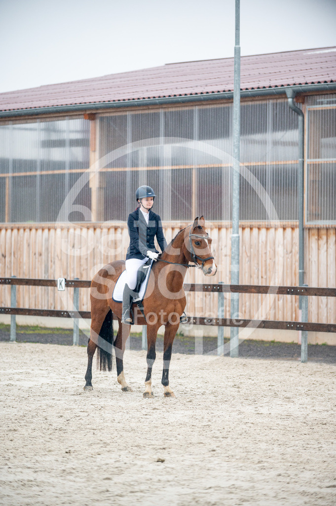 DSC_4861 | sattelsport - Realisiert mit Pictrs.com