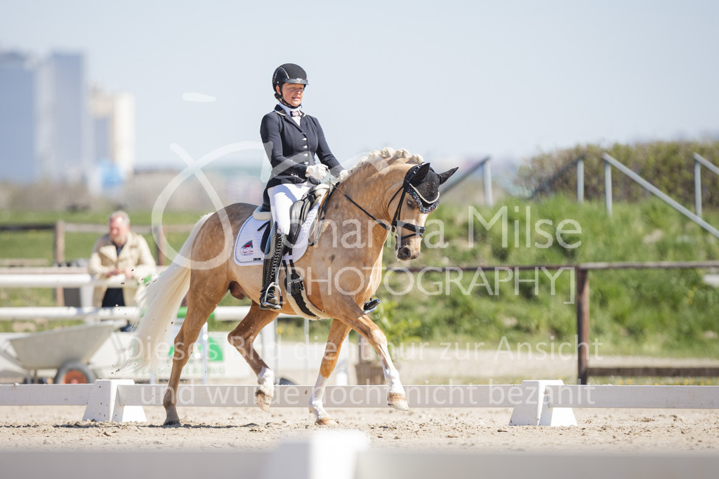 220418_Dressurpferde-L-141 | Frühlingsfest der Pferde
Herford
18.April 2022
Dressurpferdeprfg. Kl.L DL2
