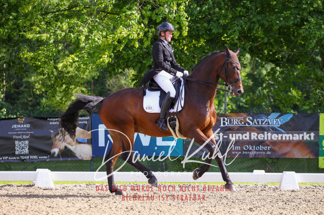 DKP41506 | Deine Turnierfotos vom Reitturnier online kaufen: Dressur, Springen & Siegerehrung. Professionelle Pferdefotografie aus dem Rheinland – als Download & Print.Alternative: Turnierfotograf für den Pferdesport: Finde deine Fotos von Dressur- und Springturnier