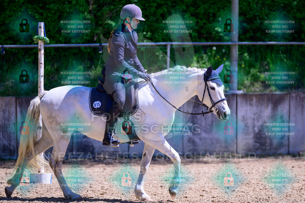 01052026-Giesenbach-02-Stiltrail-0143 | Fokus Hufschlag Fotografie - Realisiert mit Pictrs.com
