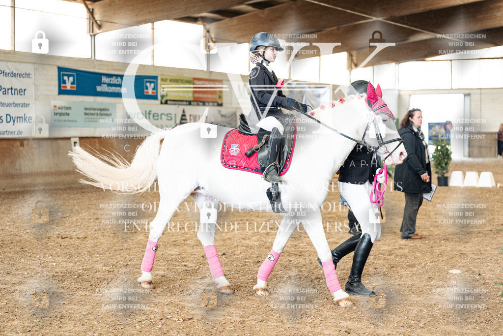 CK906049 | Turnierfotografie Pferdefotografie Trier Rheinland-Pfalz Pferdesport Reitsport Tierfotografie Sportfotografie Pferdevideo Pferdevideografie Equestrianvideography equestrianphotography  - Realized with Pictrs.com