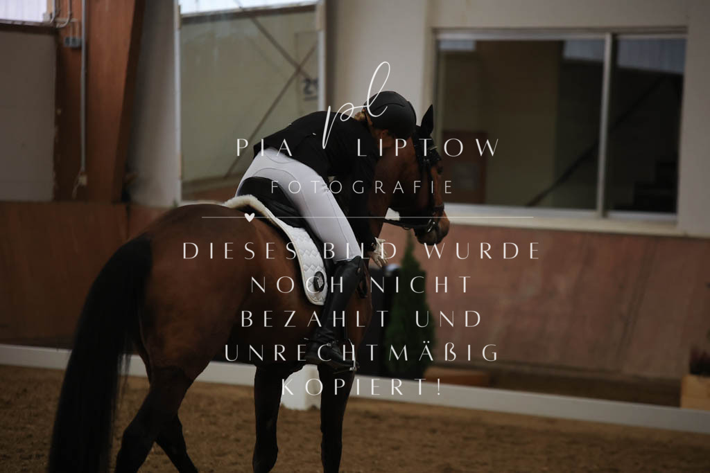 IMGT9633 | pl-fotografie