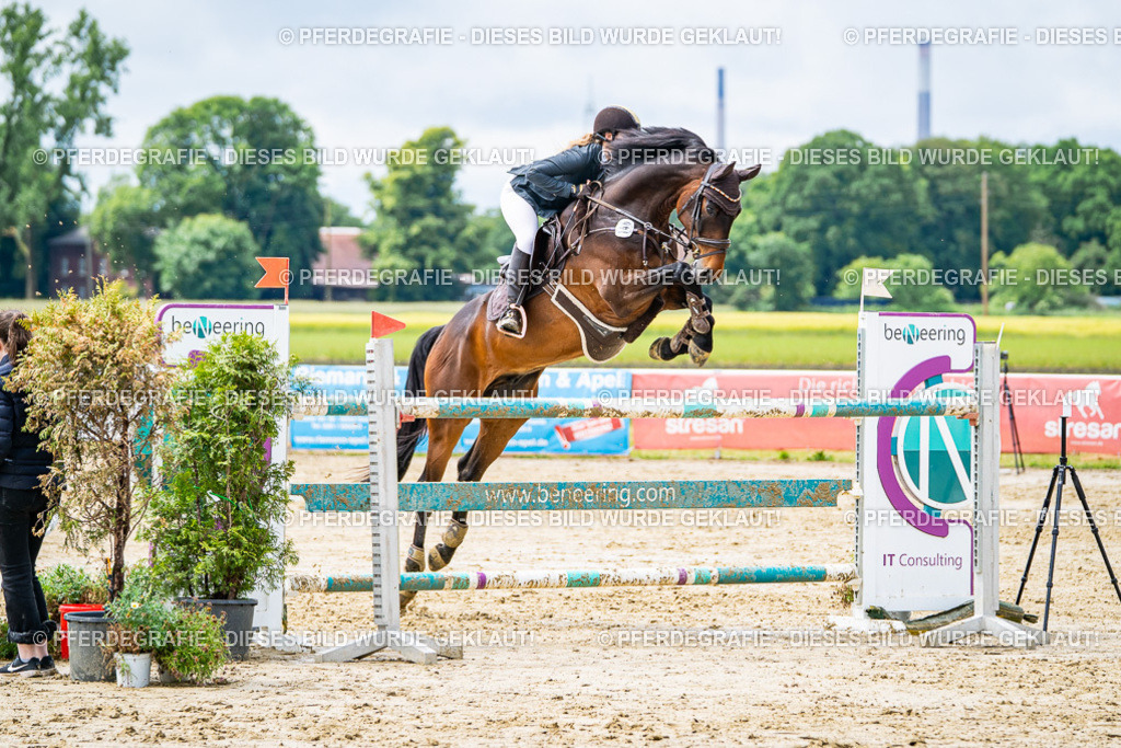 DSC04075 | Pferdegrafie