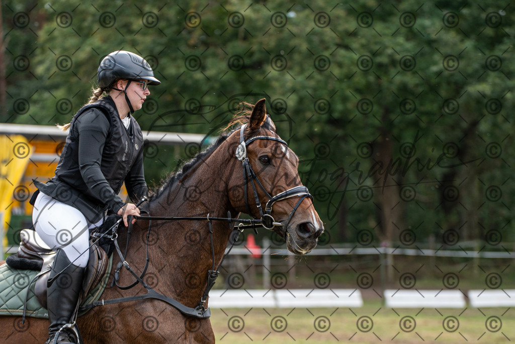 SHT_7551 | andre_photographic